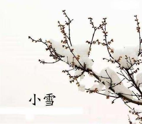 知节气 迎小雪———永宁县第七幼儿园二十四节气之“小雪”主题教育活动