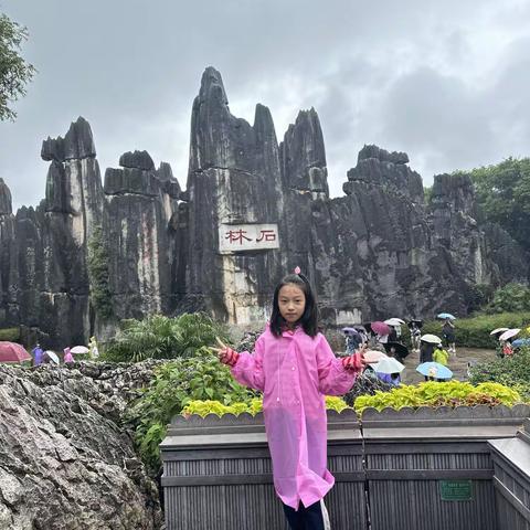 梦幻之林——石林