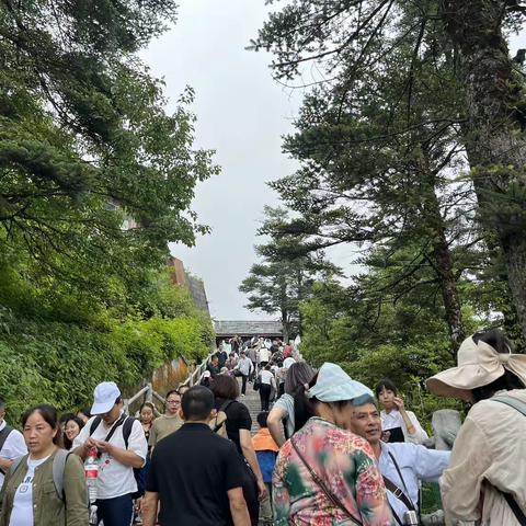 峨眉天下秀——小槿妹游记2