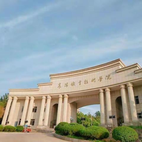 优秀大学生回访母校