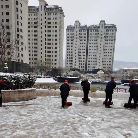 城市主人12月份月报