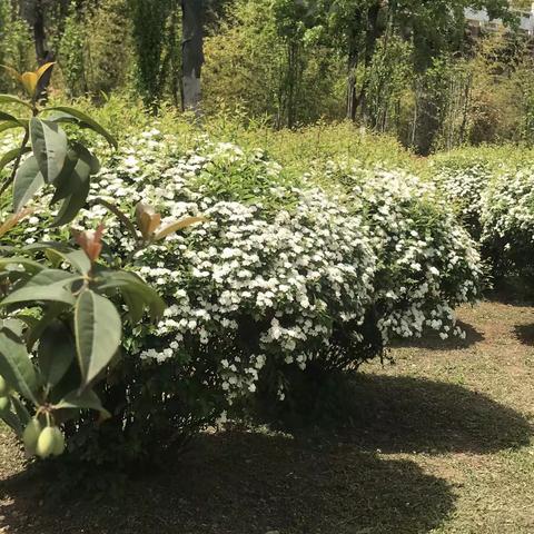我的大学 我的专业—精彩瞬间