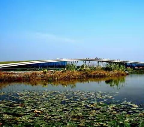 湿地文旅产业园组织园区企业施工单位开展大气污染防治工作培训会