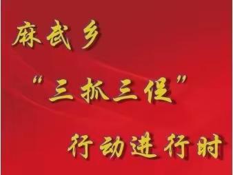 【“三抓三促”行动进行时】——麻武乡工作日报（8月8日）