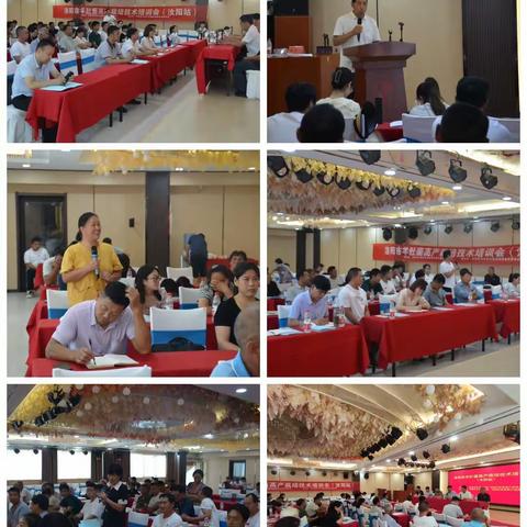 洛阳市羊肚菌高产栽培技术培训在汝举办