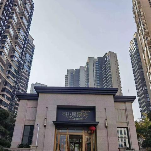 吉祥凤景湾服务中心2024年12月份月报