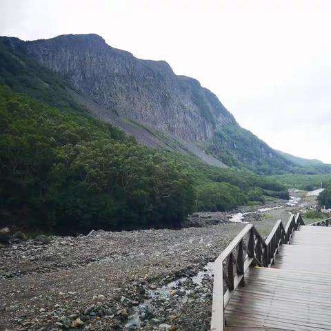 橡树湾小学三二班王艺程——长白山研学之旅