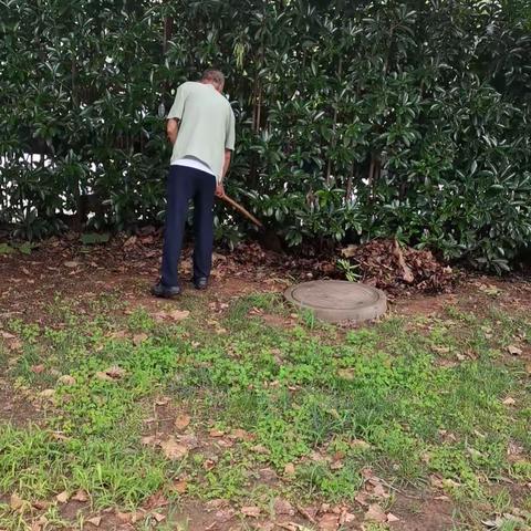 汝阳滨河公园景观提升