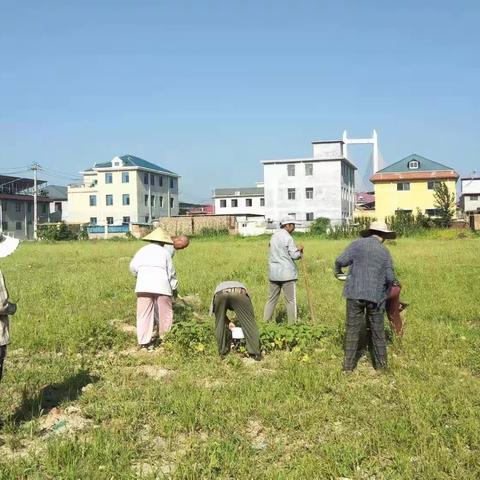 槐荫区吴家堡街道人居环境整治之西张村