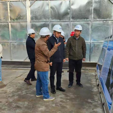 区人大常委会副主任、区总工会主席何文走访调研边家村工人文化宫建设情况