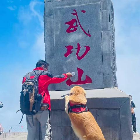 哆啦户外 |5.2-5.5反穿武功山 错峰冲金顶，在高温前去看高山草甸