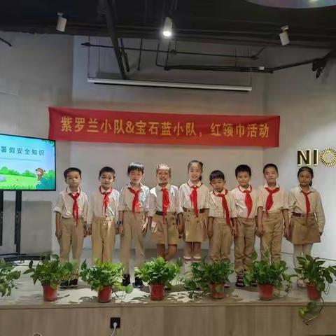 学习二十大，争做好队员