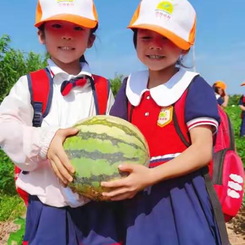 【“暑”于你的快乐】🍉大一班暑假班缩影