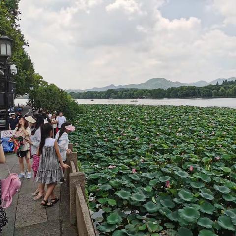 Hangzhou  Tour