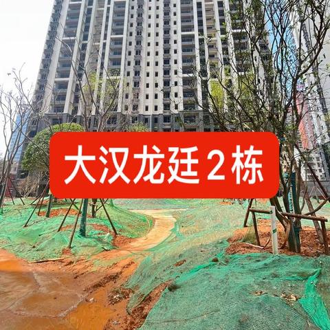 大汉龙廷2栋