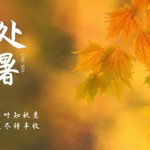 “处暑至，秋意浓”南联第一幼儿园二十四节气——处暑线上主题系列活动