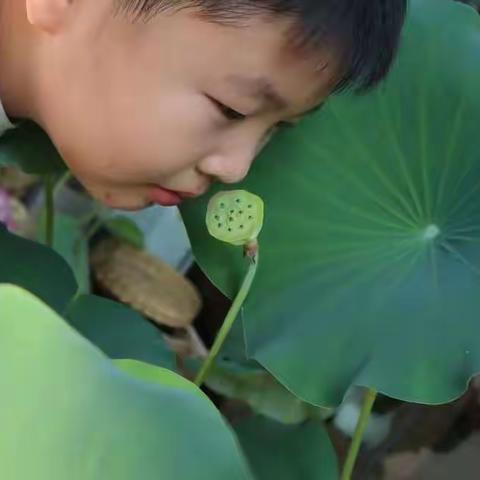 漫漫长夏，积攒勇气