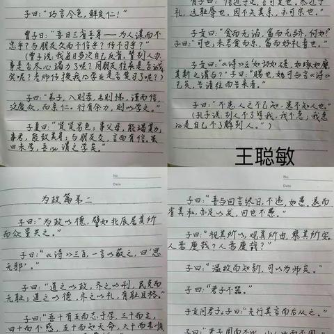 低数组《论语》学习展示