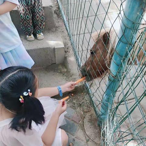 习惯了有你的美篇