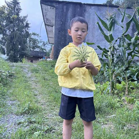 “暑”于我的多彩假期———暑假生活美篇记录