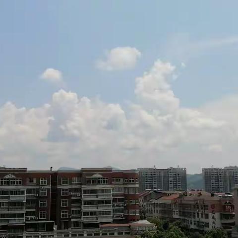 暑假社会实践