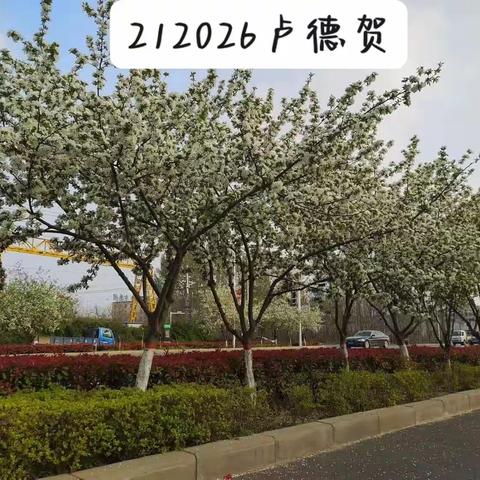 2023我的寒假生活212026卢德贺