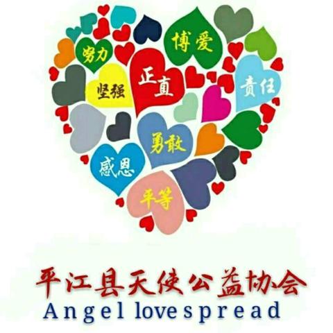 （2024年11月份）天使公益协会财务汇总