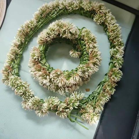 感恩！母亲！