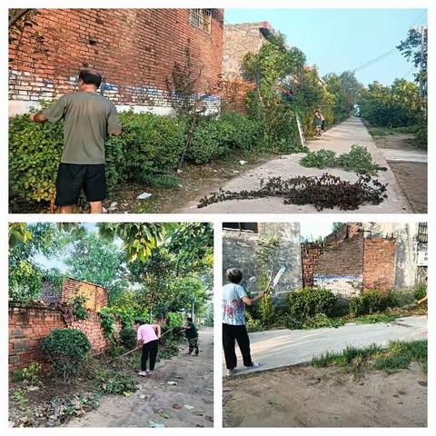 【三零创建】孙庄村多措并举助推人居环境整治持续“升温”