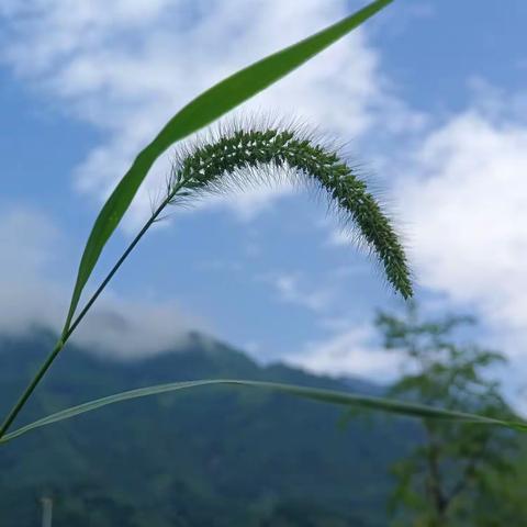 避暑胜地千佛镇