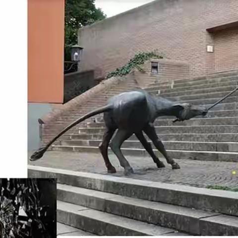 注重整体建构，提高复习实效——九年级数学复习经验交流