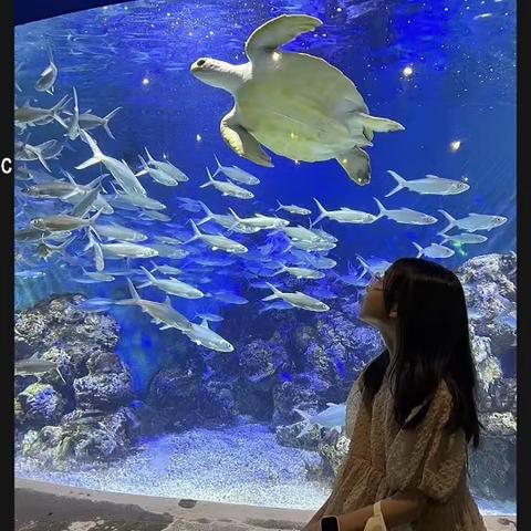 崔佳妮的暑假生活