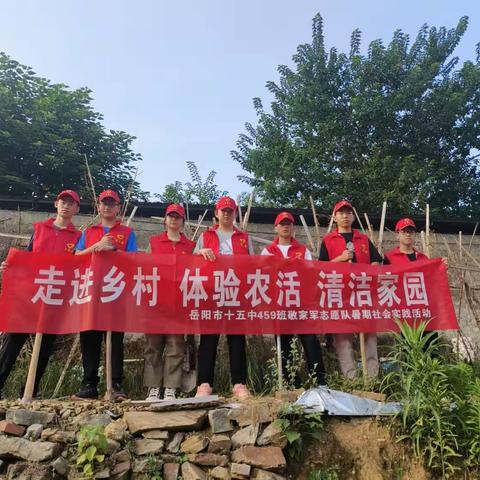 岳阳市15中学459班7组2023年暑假社会实践活动