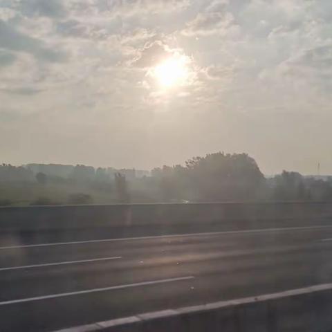 223139王康鑫暑假生活