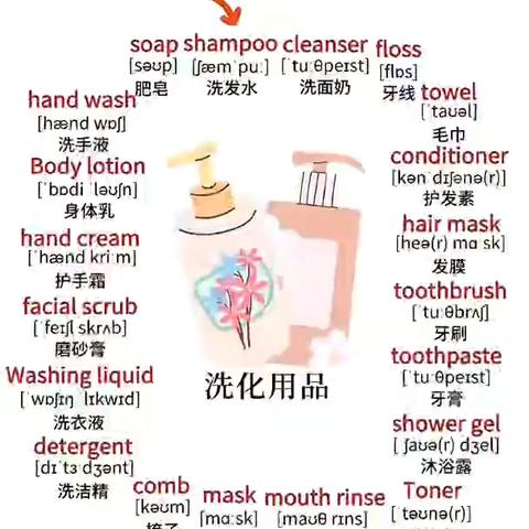 英语主题词汇每日打卡