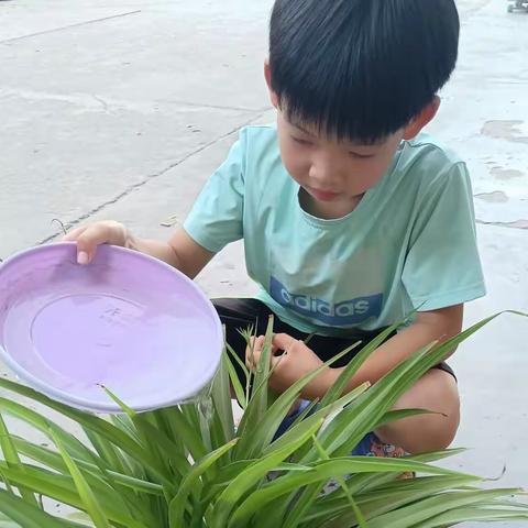 一假一技能，一期一成长，华润希望小学暑假“”学习任务。二年级六班郝嘉澄。