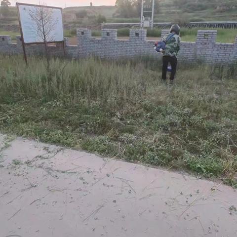 前军家沟村工作动态