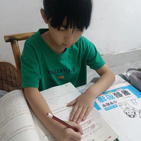 东方红小学445班万朵