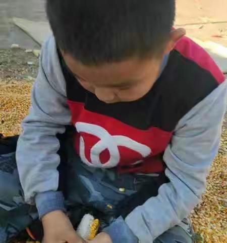 通辽市新世纪学校一年四班假期生活