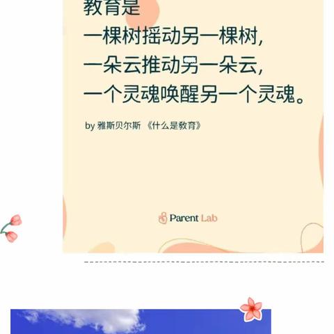 强师赋能开新篇   校本培训启新程——中宁十小2023年暑假校本培训活动纪实