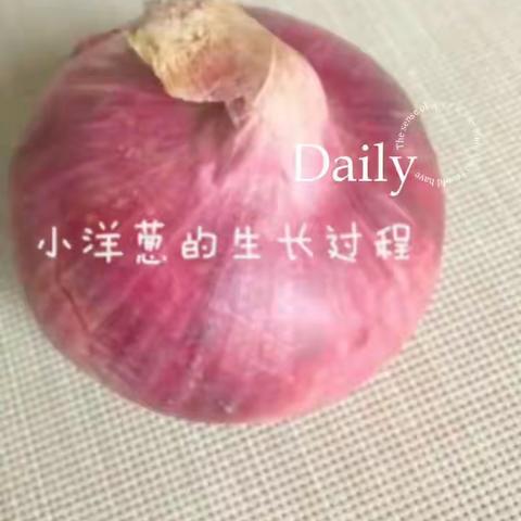 记录丰富多彩的暑假生活