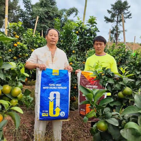 “肥”选夫沃施，一年一丰收