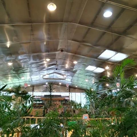 특별한  선물 (特别的礼物)