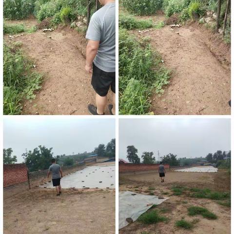 宋村网格员风采