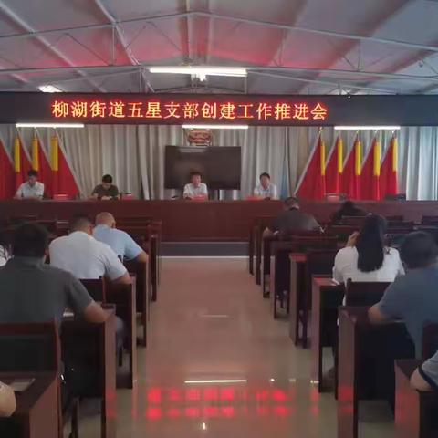 柳湖街道召开“五星”支部创建工作推进会