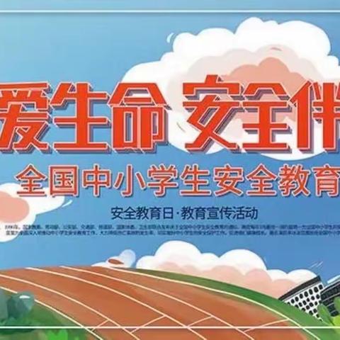 宝善街小学“安全教育宣传”活动