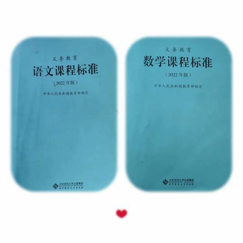 心中有“标”     教学有方——大河中心学校暑期开展分学科课标教材解读