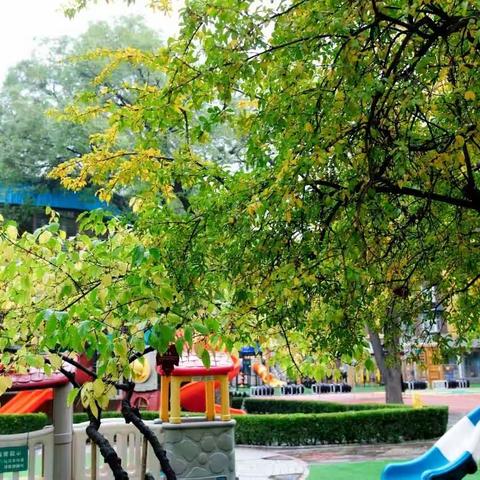 开学季 | 你们在等开学 我们在等你们 ——中大班的小朋友们看过来~