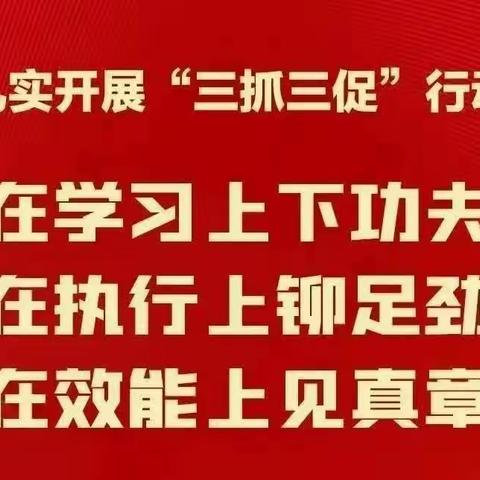 凝心教研汇真知     聚力课堂促成长——湘教版教材培训二