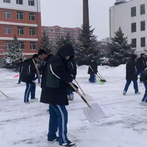 劳动教育奋人心 清雪除冰暖校园——巴彦一中清雪行动纪实